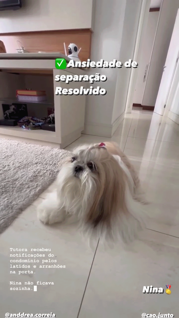 Depoimento de cliente sobre adestramento de cães