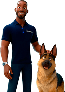 Adestrador de Cães: caojunto com pastor