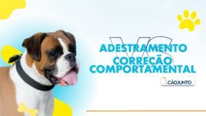 Capa Blog Adestramento e Correção Comportamental