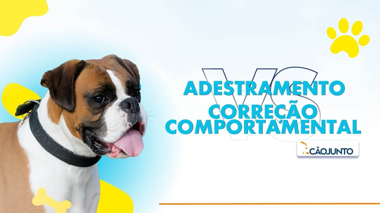Capa Blog Adestramento e Correção Comportamental